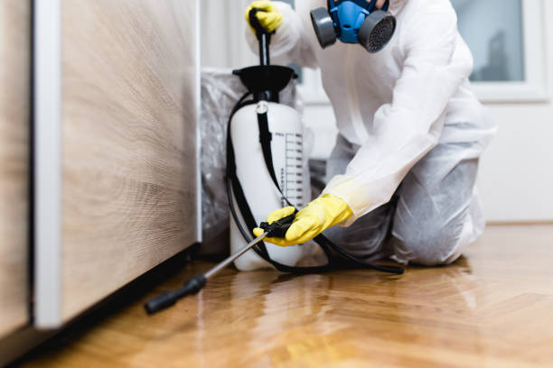 Best Commercial Pest Control Services  in Big Lake, WA