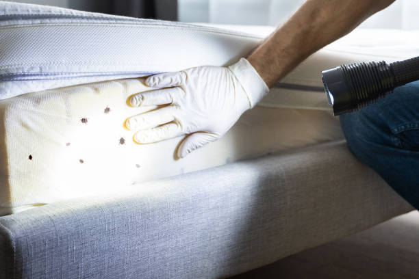 Best Best Pest Control Companies  in Big Lake, WA