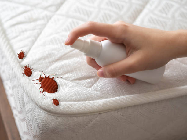 Best Mosquito Control Services  in Big Lake, WA