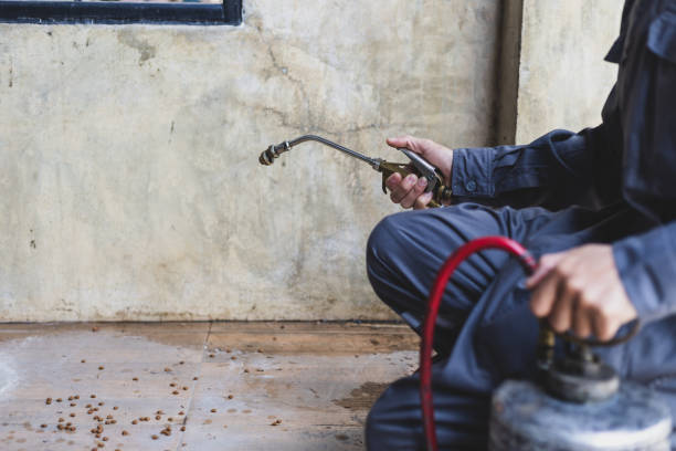 Best Wasp Removal Services  in Big Lake, WA